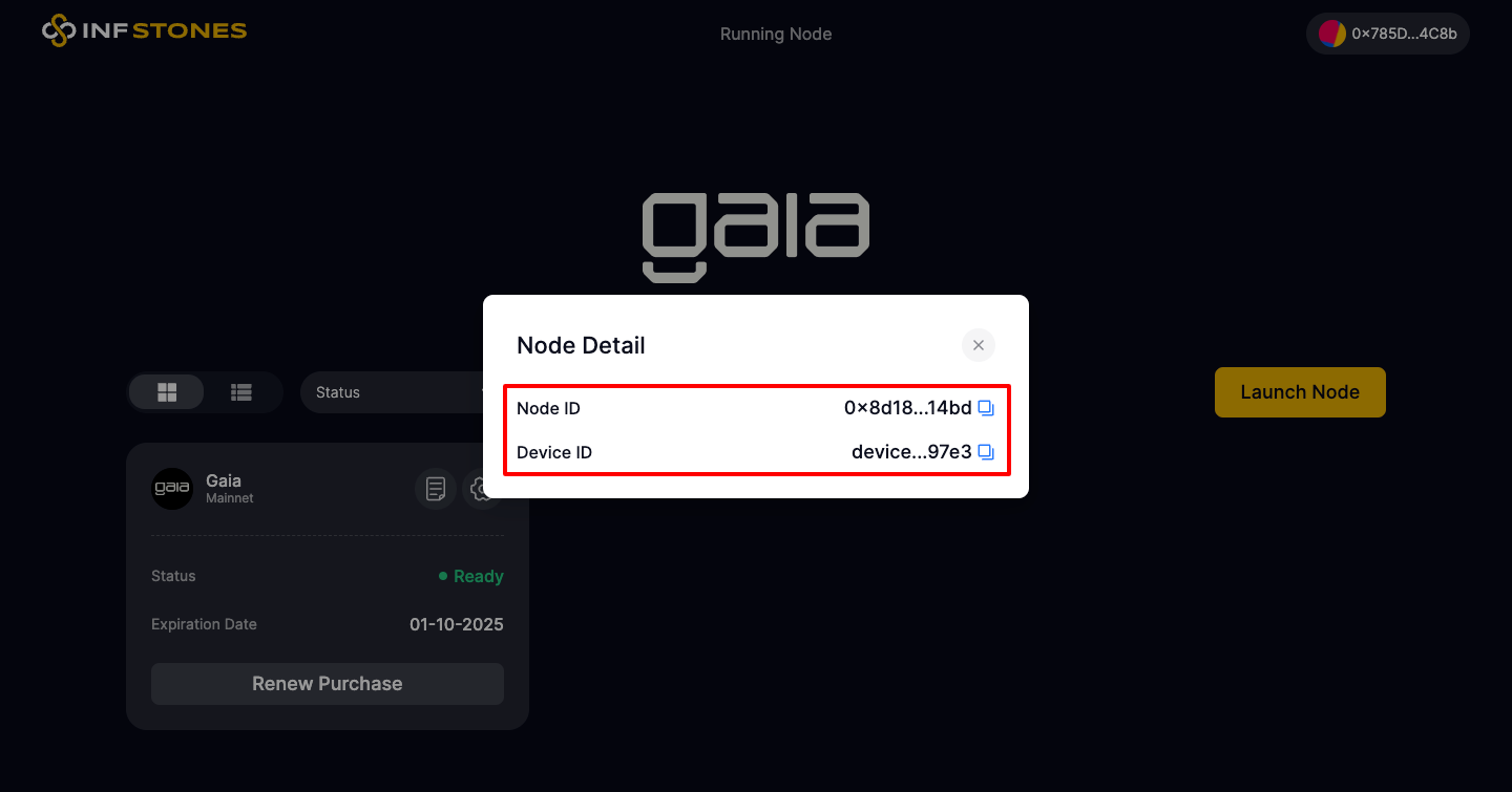 How to Run Your Gaia Node with InfStones and Earn Future Rewards